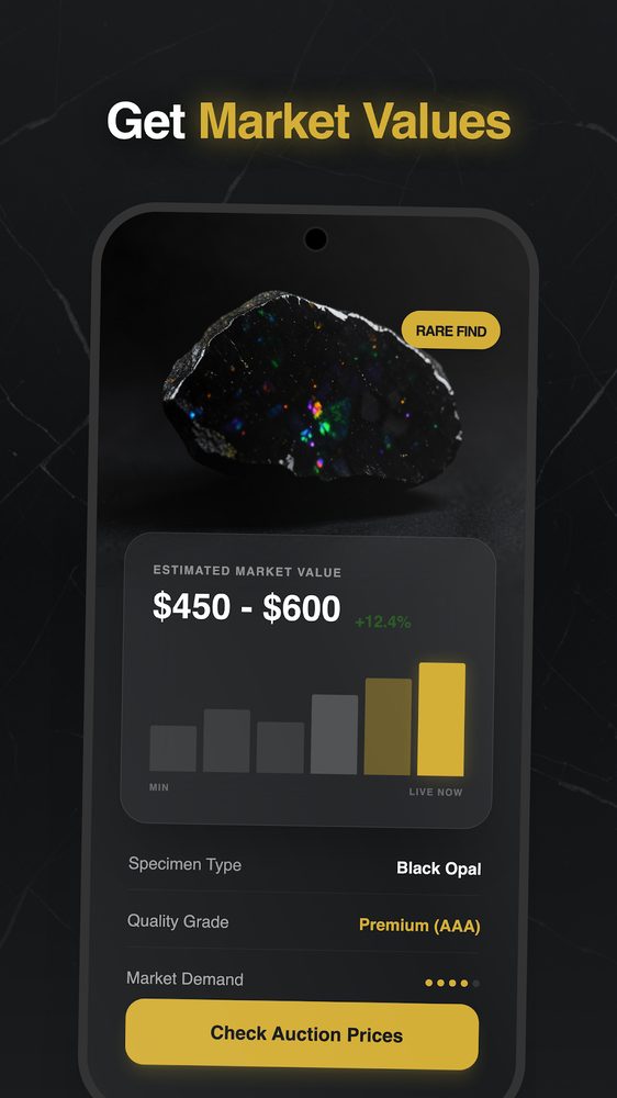 Rock Identifier screenshot 2